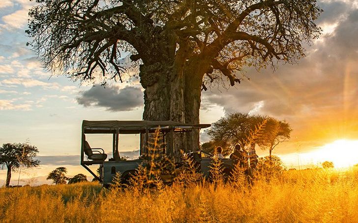 Fusssafari und Trekkingtouren im Süden Tansanias