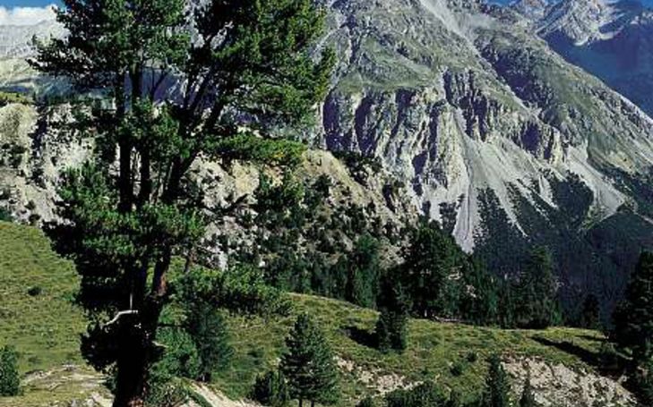 Neue Grossschutzgebiete in den Alpen