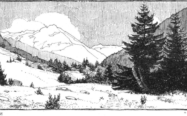 Neue Bergfahrten in den Schweizeralpen 1917, mit Nachträgen von 1914,1915 und 1916