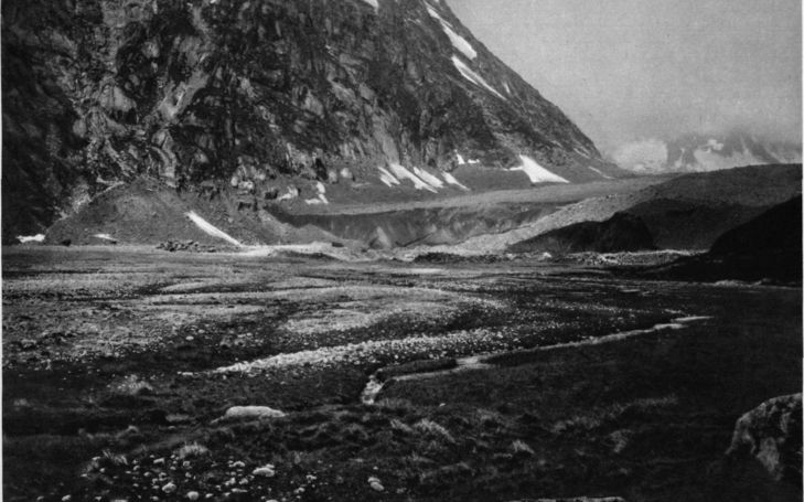 Les variations des glaciers des Alpes suisses en 1954