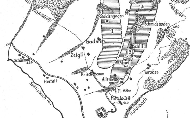 Die Haldiwald-Lauenen von 1808