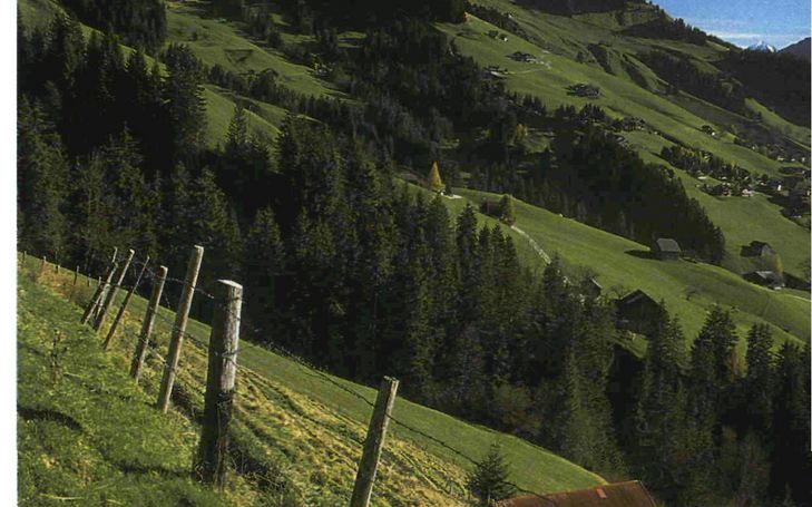 Pays-d'Enhaut - Une région de montagne à la recherche d'un développement durable