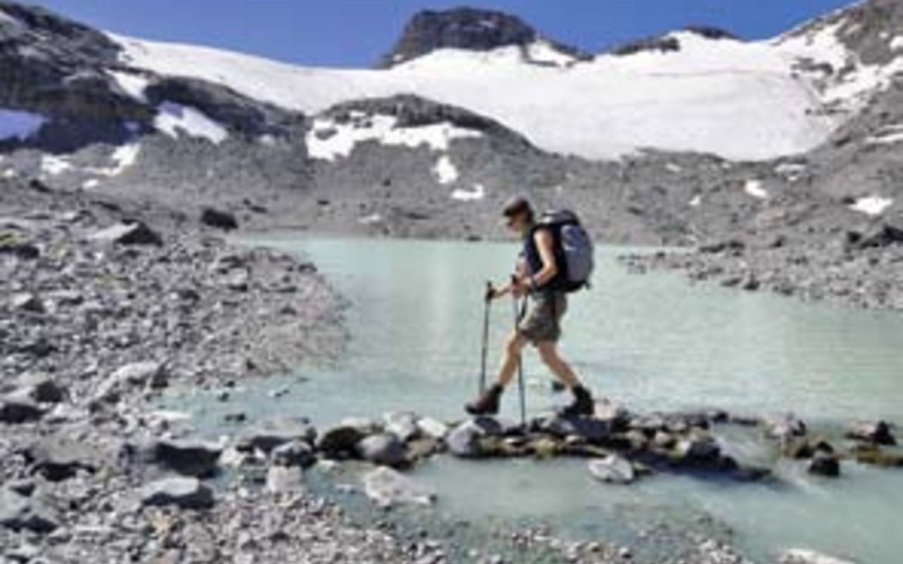 Pieds Du ` S D'alpiniste Avec Des Crampons Sur Le Glacier Congelé