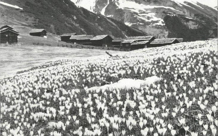 Die Bewässerungsanlagen von Ausserberg im Wallis