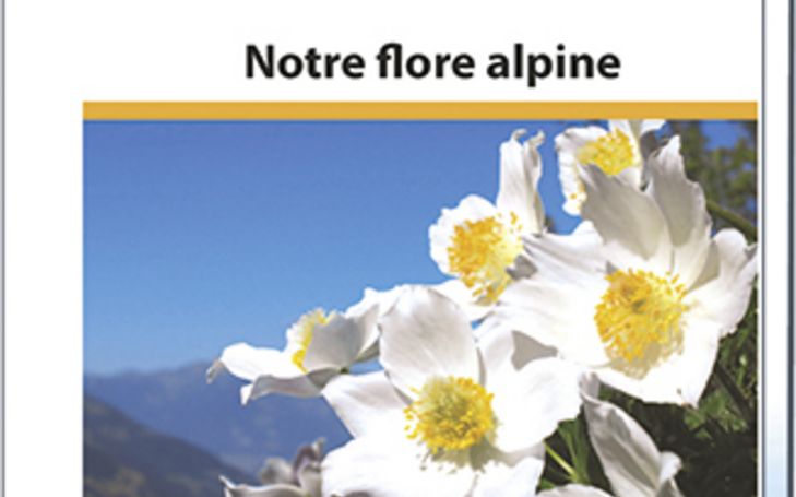 Notre flore alpine