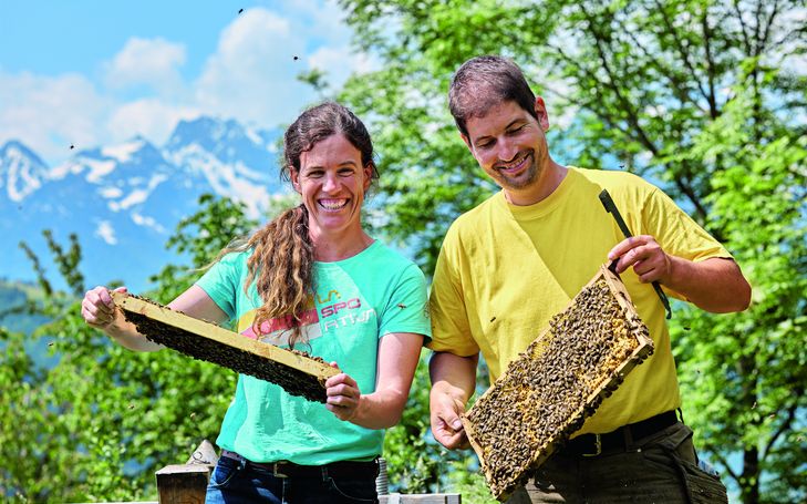 Auf Wanderschaft mit 10 Millionen Bienen