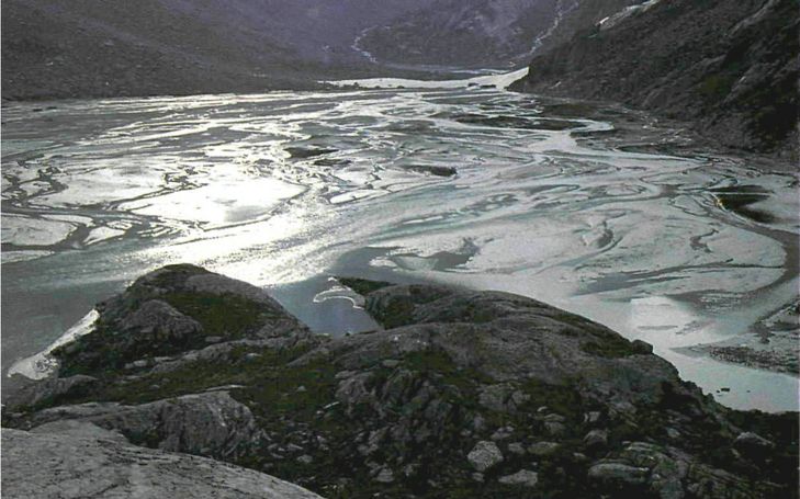Gletschervorfelder — bedrohte alpine Auenlandschaften
