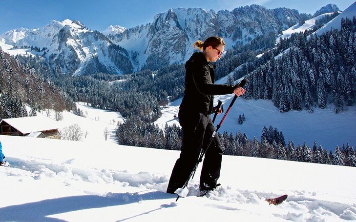 Le Bus alpin dessert deux nouveaux paradis hivernaux