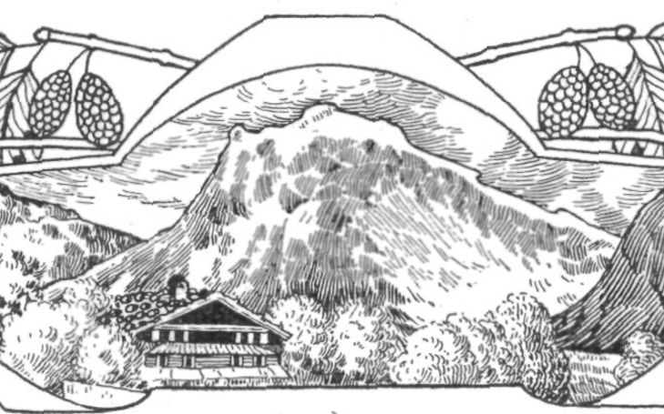 Les variations périodiques des glaciers des Alpes, 28me rapport, 1907